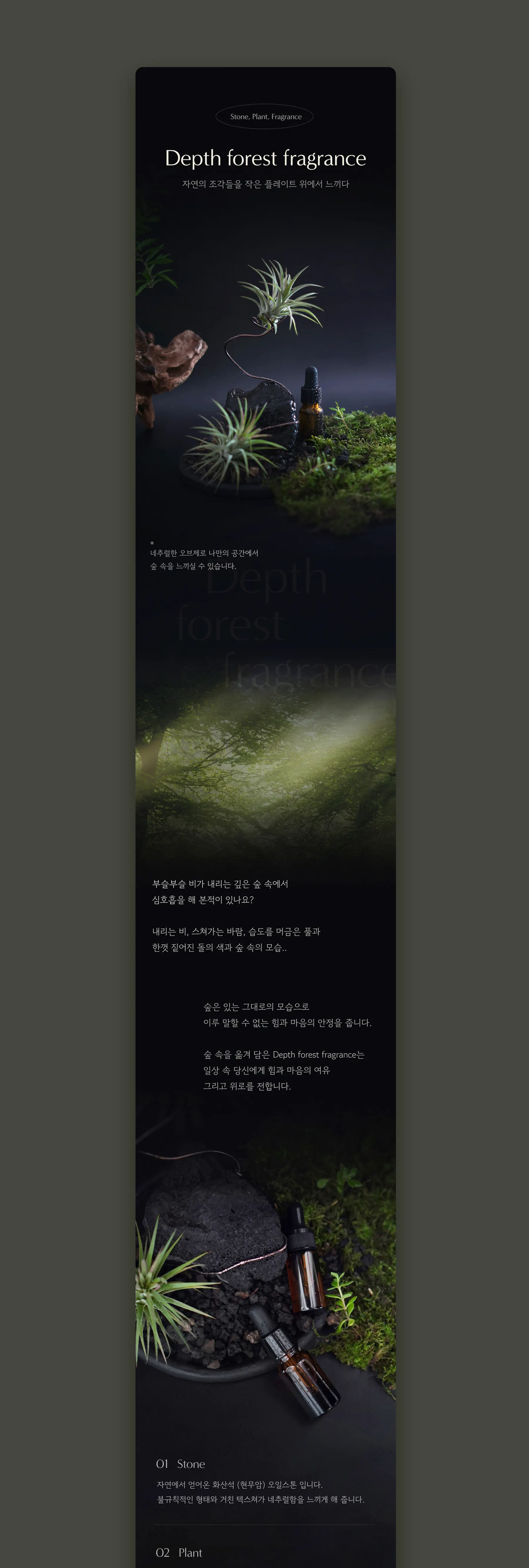 숲을 품은 오브제
stem H 이미지 3