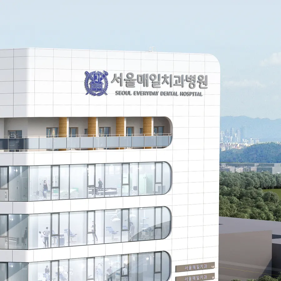 서울매일치과 — 원주의 매일을 지키는 서울매일치과